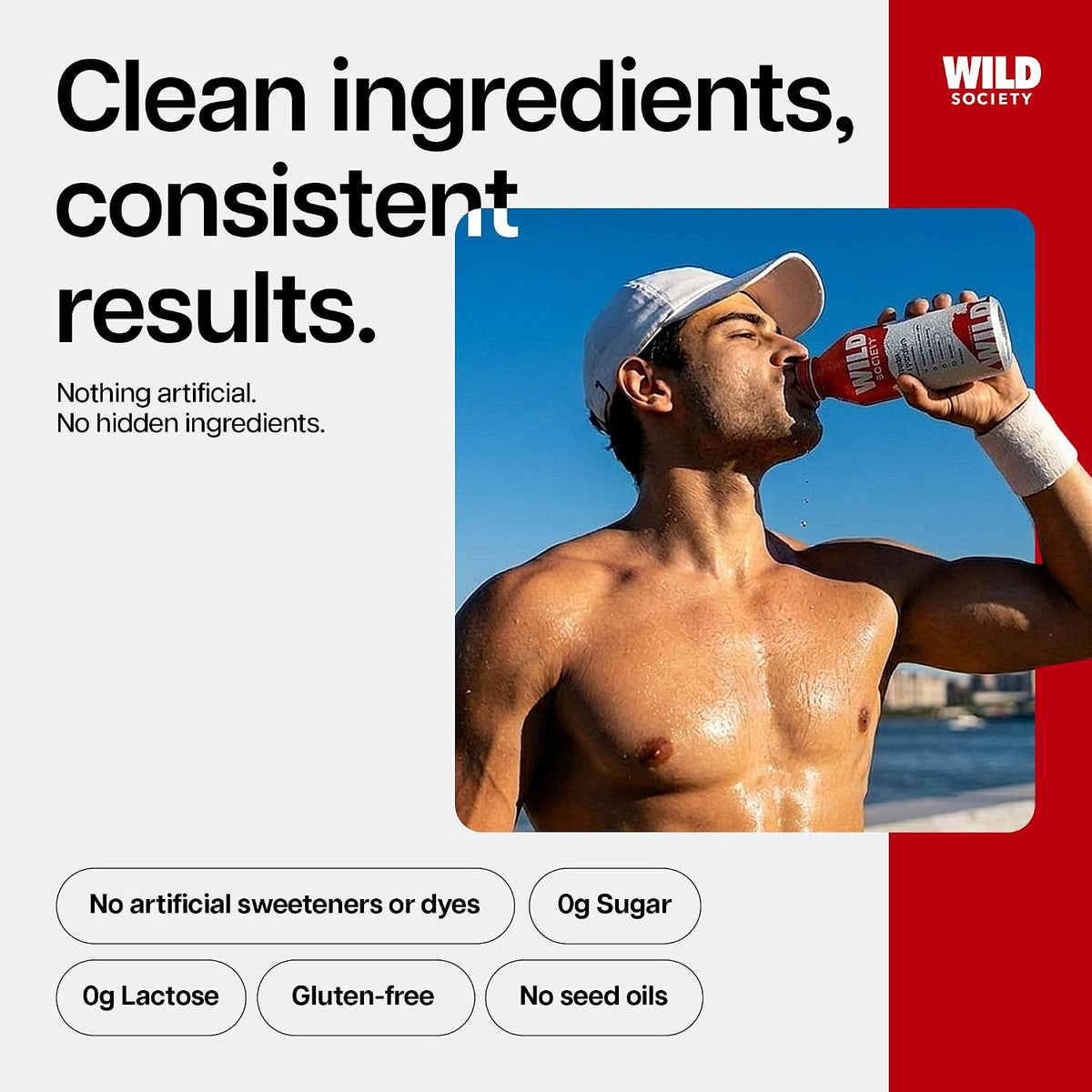 Wild Society Clear Protein Drink + Electrolytes, Fruit Punch, 12 Pack